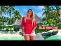 Download Lagu Ancuta Timis ❎ Colaj Manele Noi 2023 💘