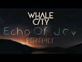 WHALE CITY - Echo Of Joy (Stereoact Remix) Lyric Video