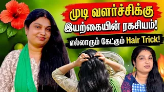 வீட்டிலேயே எளிய முறையில் உங்கள் முடியை பராமரிக்கலாம் 