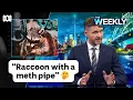 Download Lagu The week in news: New Pope, new Liberal leader and a raccoon | The Weekly | ABC iview