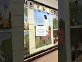 2025 Primary Theme Doctrine and Covenants Posters and Bulletin Board Decorations