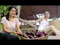 Download Lagu Green Life: Farm Gate Renovation - Harvesting Tons of Eggplants for Market Sale!