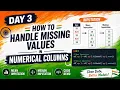 Day 3 Handling Missing Values in Numerical Columns Mean Median Imputation