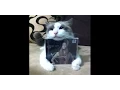 Download Lagu Marion Raven - \