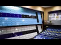 Pool Tile Company Dolphin Tile