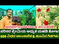 Download Lagu ಪರಿಸರ ಪ್ರೇಮಿಯ ಅಧ್ಬುತ ಮಹಡಿ ತೋಟ | Organic terrace garden kannada | flowers, fruits \u0026 vegetable plants
