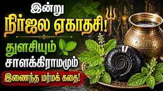 இன்றைய சிறப்பு: நீர்ஜல ஏகாதசி ஸ்பெஷல்: துளசி மற்றும் சாளக்கிராமம் பிறந்த கதை!