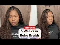 5 Weeks in Boho Braids Unboxing Hair Review FT YWIGS Bulk Human Hair
