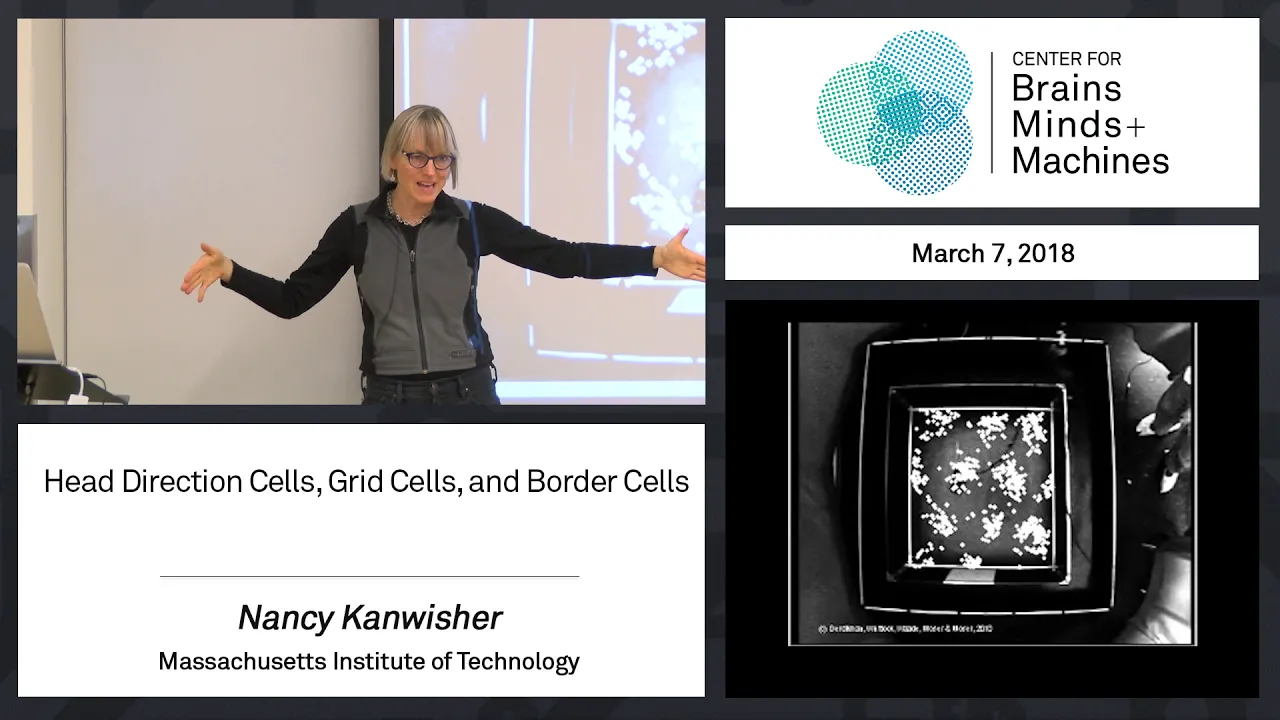 6.4 - Head Direction Cells, Grid Cells, and Border Cells