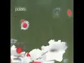Without An Out
