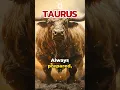 Taurus Zodiac Signs Best Personality Traits