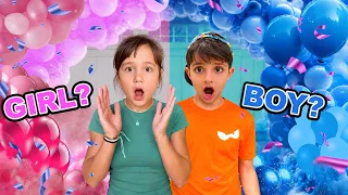 حفلة الكشف عن جنس المولود     صبي او بنت   دندنها