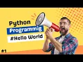 Python Programming Language Printing Hello World Day 1 Bug
