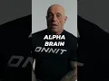 Joe Rogan s Go-to Supplement Alpha Brain