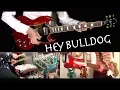 Download Lagu Hey Bulldog - Guitars, Bass, Drums and Piano Cover - Instrumental