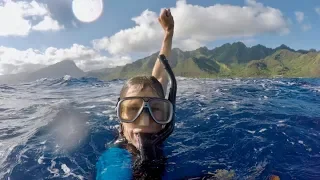 Whale Splashes Swimmer