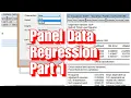 Panel Data Regression in Eviews