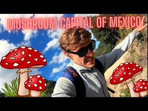 Download MP3 Taking magic mushrooms in the mushroom capital of Mexico - San Jose Del Pacifico Oaxaca