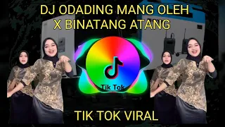 Download DJ ODADING MANG OLEH x BINATANG ATANG TIK TOK VIRAL TERBARU 2021 MP3