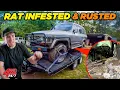 Download Lagu 4WD Project so DISGUSTING we found Snakes \u0026 Rats - Our Latest Builds vs. Tough QLD Tracks