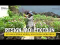 Lagu 15 Tahun Jadi Pegawai Kantoran, Pilih Resign Jadi Petani