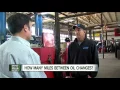 How many miles between oil changes