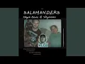 Download Lagu Salamanteri Santeri