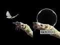 The Temper Trap - Sweet Disposition (ARTBAT Extended Remix)