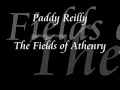 Fields of Athenry- Paddy Reilly