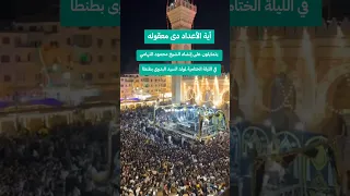 معقولة الأعداد دى يتمايلون على إنشاد الشيخ محمود التهامي الليلة الختامية مولد السيد البدوى بطنطا  معقولة الأعداد دى يتمايلون على إنشاد الشيخ محمود التهامي الليلة الختامية مولد السيد البدوى بطنطا