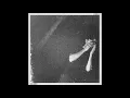 DAVID AUGUST - TRUE HEART