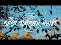 Download Lagu Duck Hunting- The Best Timber Hunt of Our LIVES