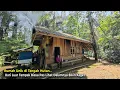 Download Lagu Pasutri Pemberani.. Senekad Ini Puluhan Tahun Memilih Tinggal di Hutan Jauh Kemana-mana