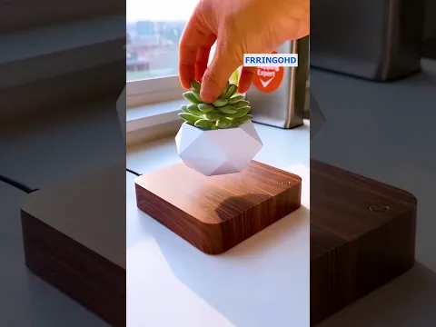 ये Magical Plant आपके होश उड़ा देगा