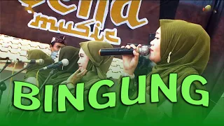 Download BINGUNG  - ADEENA MUSIC Live JATIBARANG - BREBES MP3