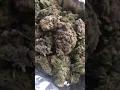 Bruce banner strawberry banana cannabis strain review