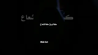 اغنيه القط الاسود 