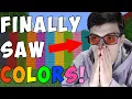 Minecraft But I m Not Colorblind Anymore