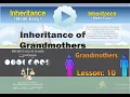 Inheritance Made Easy Lesson 10