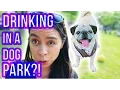 Instagram s BEST Dog Party AUSTIN TEXAS