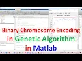 Binary Chromosome Encoding in Genetic Algorithm in Matlab