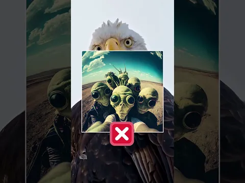 Ces animaux étaient censés avoir disparu — puis quelqu’un a filmé ces images 😨