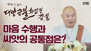 마음 수행과 씨앗의 공통점 [무비스님의 대방광불화엄경 강설 67회] #무비스님 #화엄경
