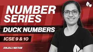 NUMBER PROGRAMS DUCK NUMBER Home Work ICSE 9 10 Anjali Ma am