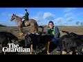 Guardian journalist chased by bloodhounds in fox hunting alternative