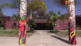 San Diego SCPA Short Tour Cut Version
