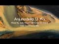 Download Lagu Anjunadeep 12 - CD2 Mixed by James Grant \u0026 Jody Wisternoff - Continuous Mix (4K)
