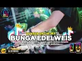 Download Lagu DJ AGUS TERBARU 2025 VIRAL BUNGA EDELWEIS -🎵DJ TIKTOK TERBARU FULL BASS SOUND FYP 🎵