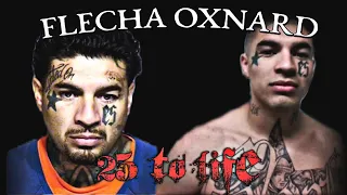 FLECHA OXNARD COLONIA GANG DROPOUT KILLS MOTHER OF 5
