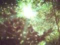 Download Lagu secret crates - Springtime Stroll (slowed \u0026 reverberated)